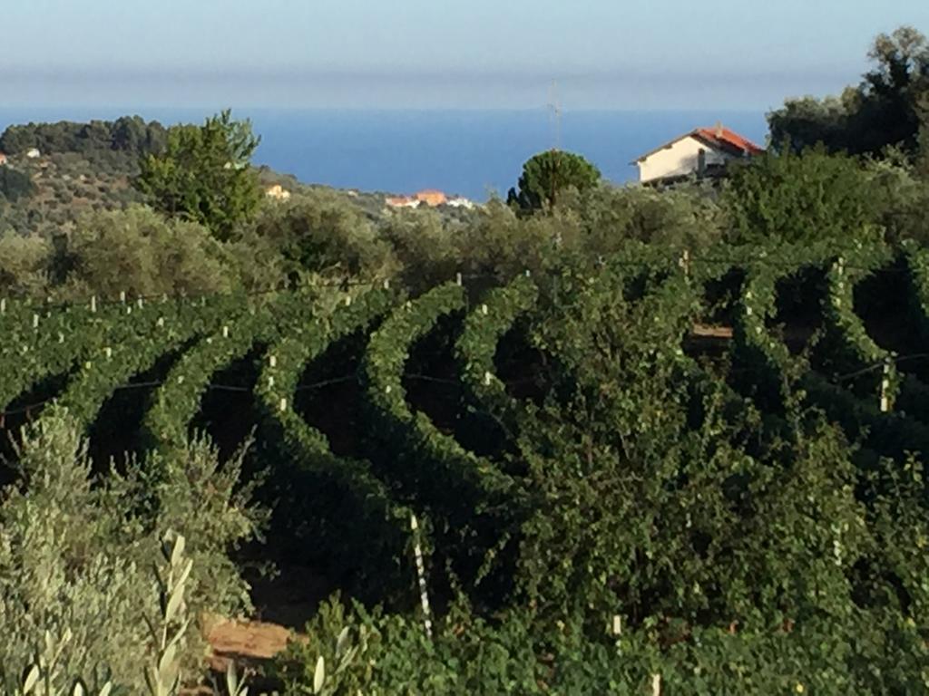 Agriturismo Ada Musso Ss Diano Borello Εξωτερικό φωτογραφία