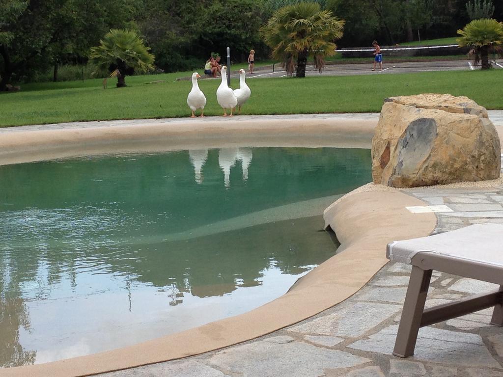 Agriturismo Ada Musso Ss Diano Borello Εξωτερικό φωτογραφία