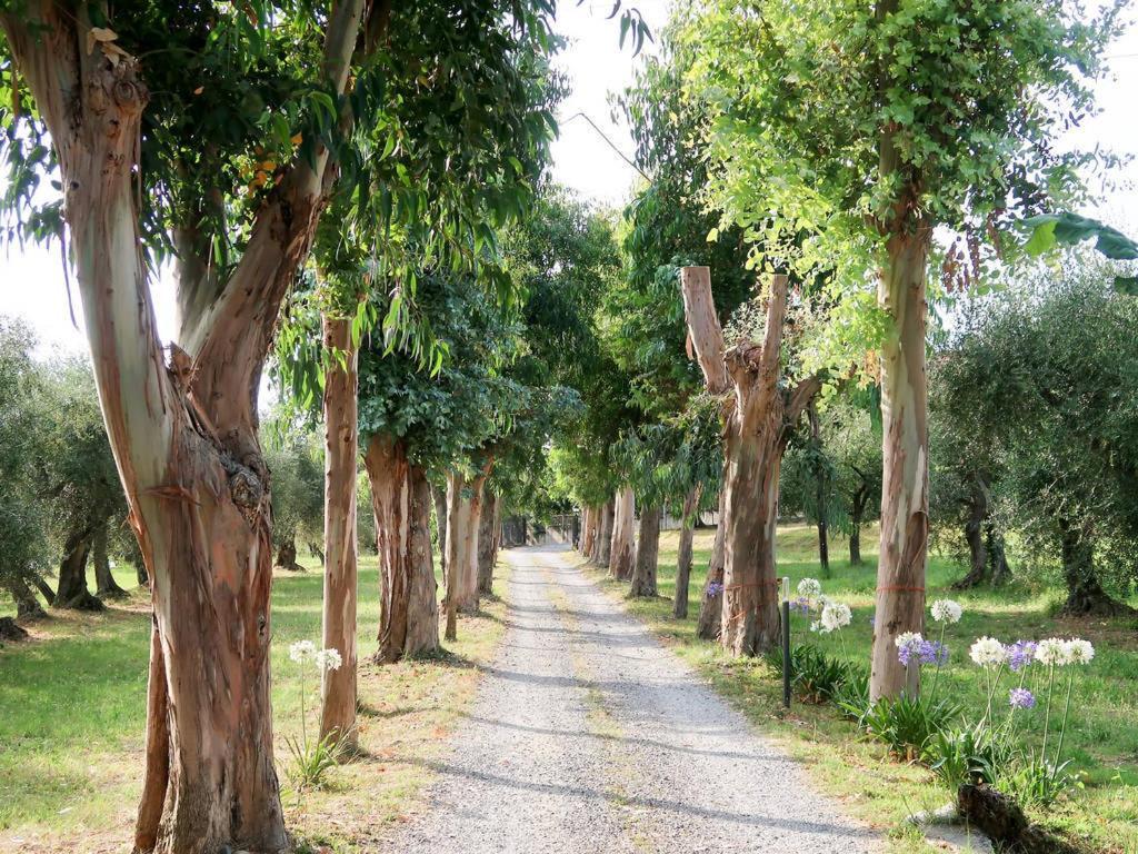 Agriturismo Ada Musso Ss Diano Borello Εξωτερικό φωτογραφία