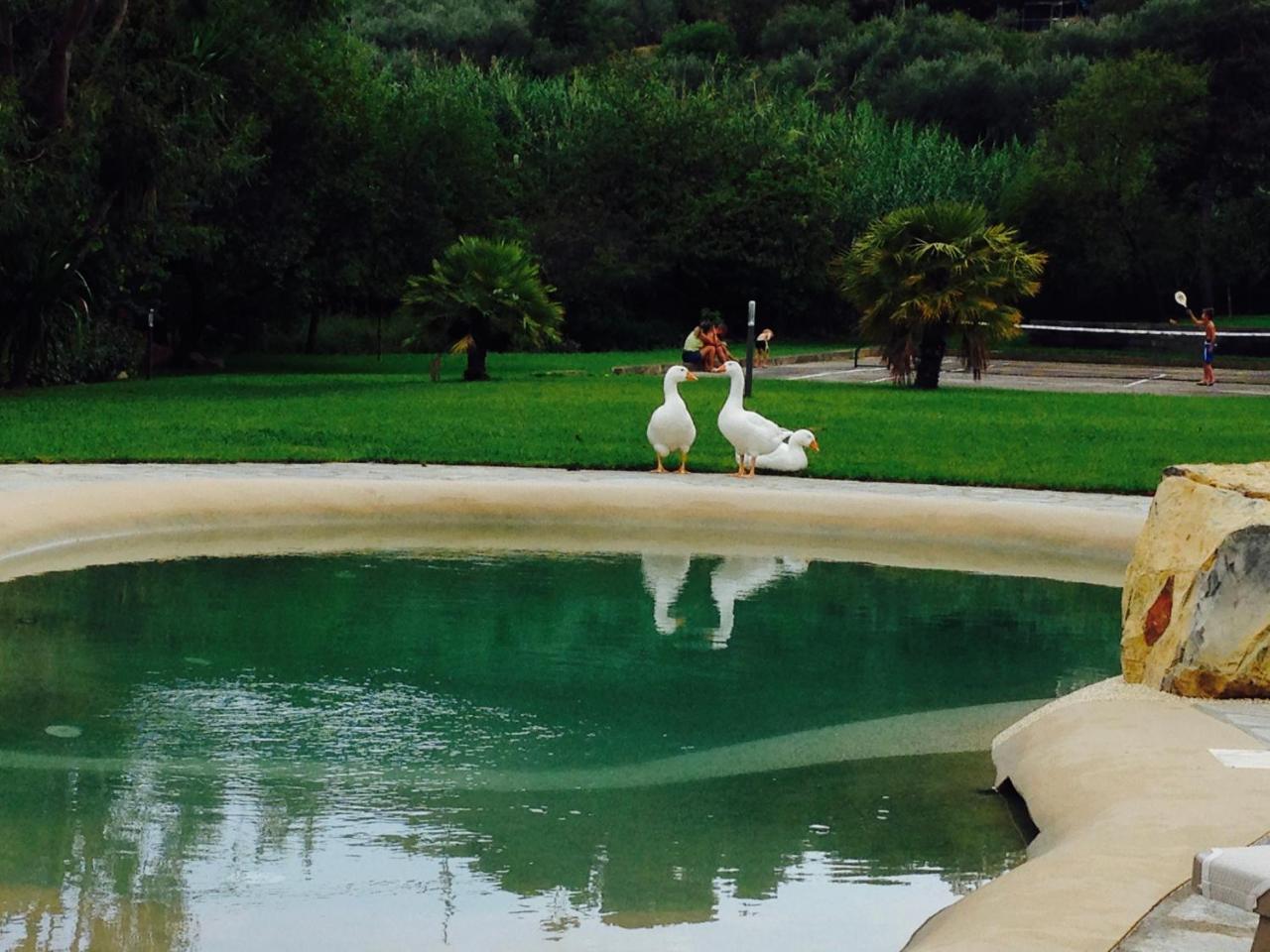 Agriturismo Ada Musso Ss Diano Borello Εξωτερικό φωτογραφία