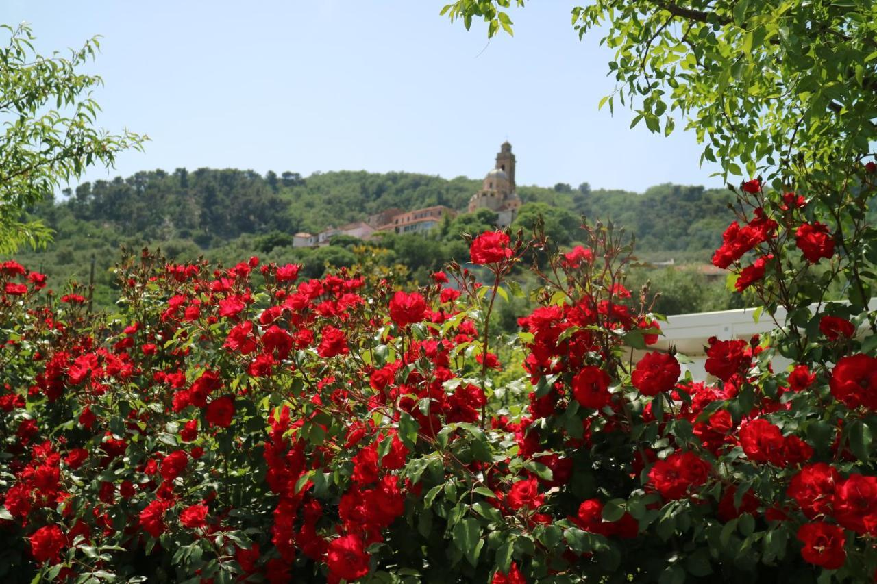 Agriturismo Ada Musso Ss Diano Borello Εξωτερικό φωτογραφία